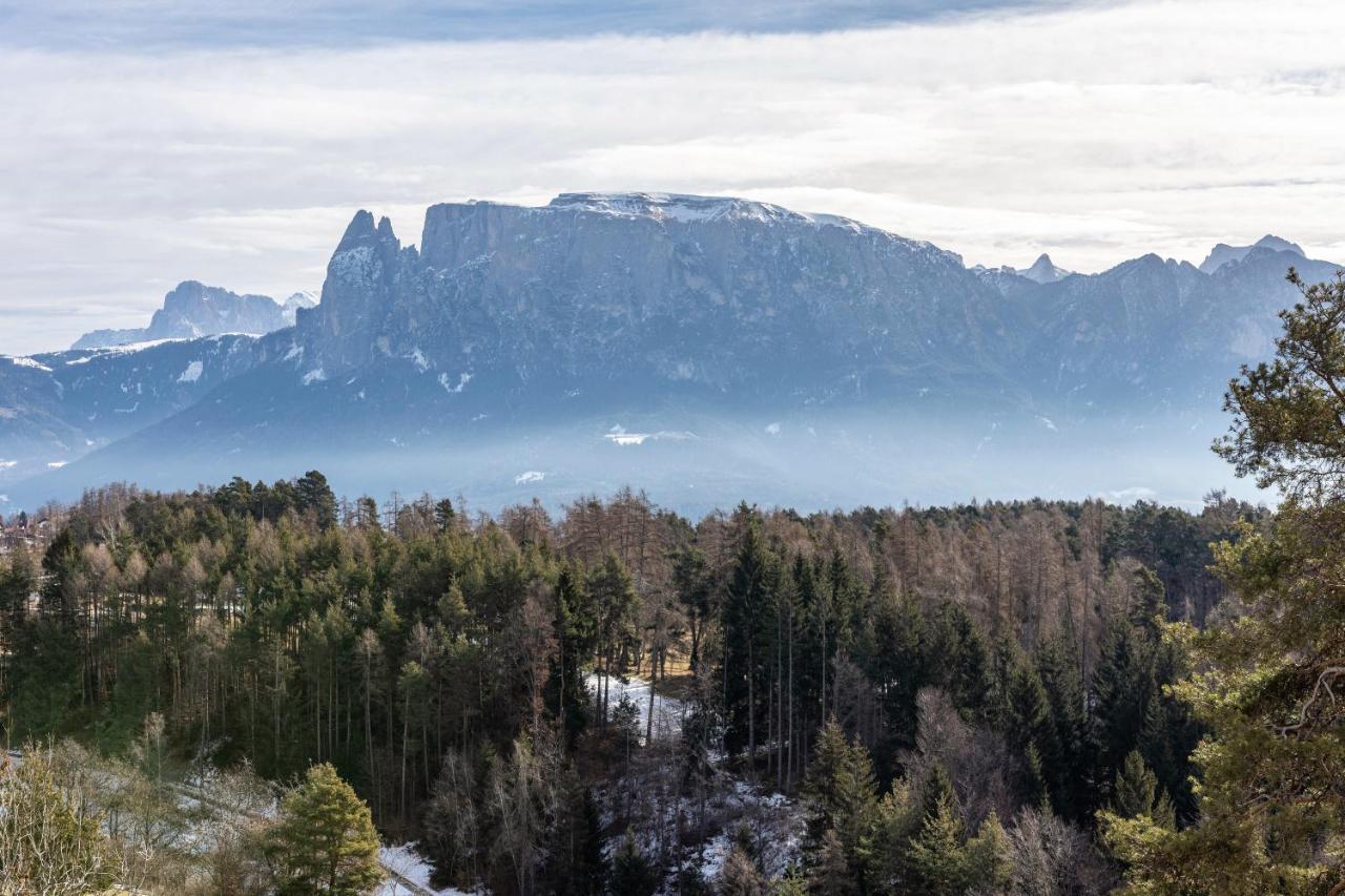 Alpin Farm Linde - Oberweidacherhof Collalbo Ngoại thất bức ảnh