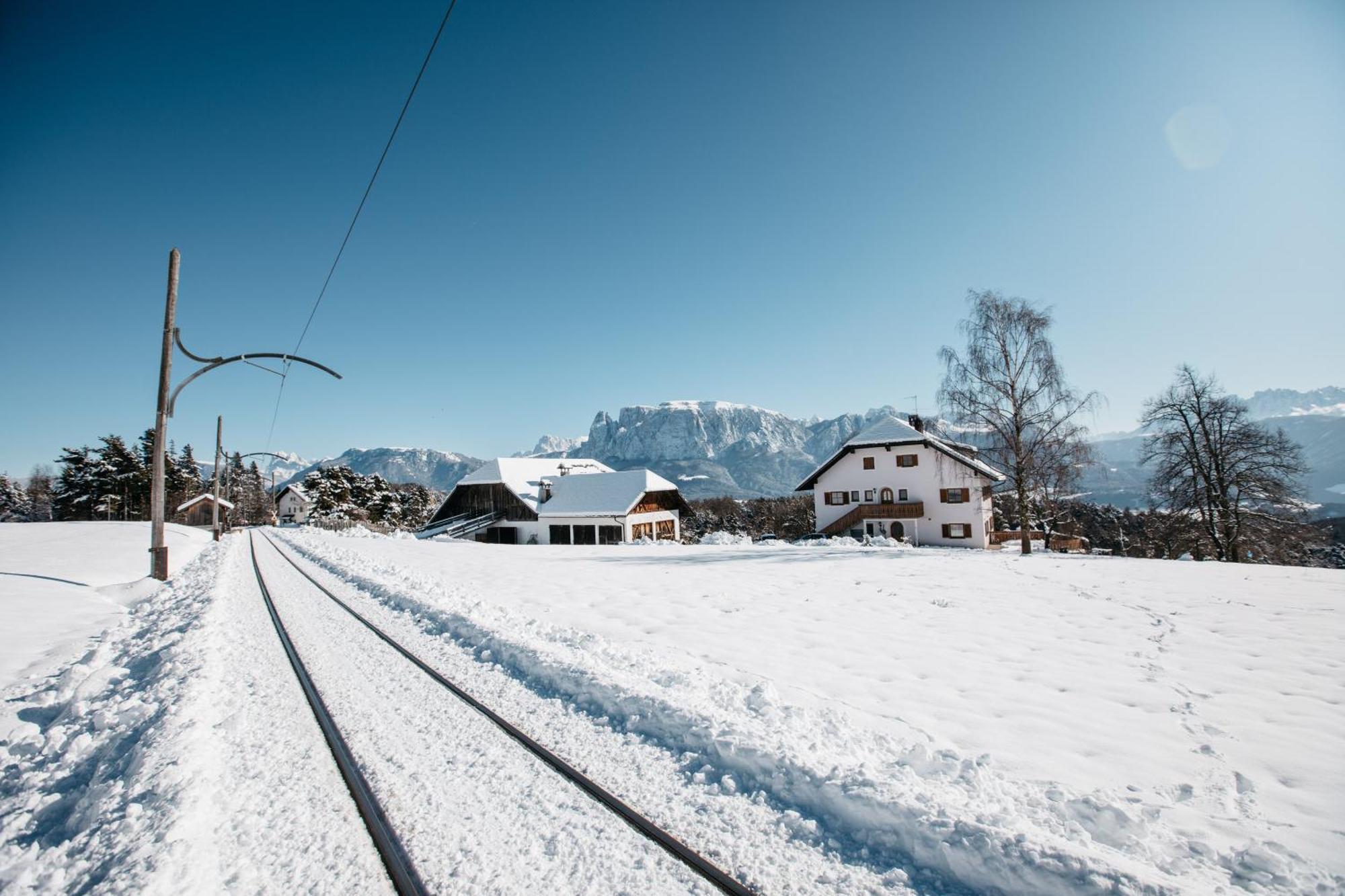 Alpin Farm Linde - Oberweidacherhof Collalbo Ngoại thất bức ảnh